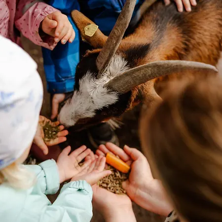 Am Hof 2 Сasa de vacaciones Staberdorf