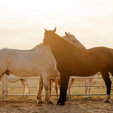 Am Hof 2 Сasa de vacaciones Staberdorf