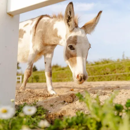 Am Hof 2 Сasa de vacaciones *