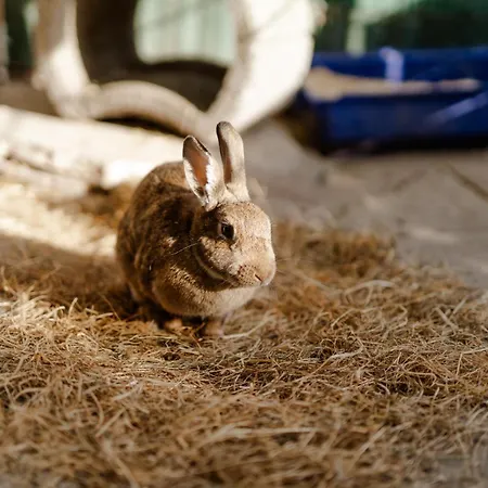 Am Hof 2 Сasa de vacaciones