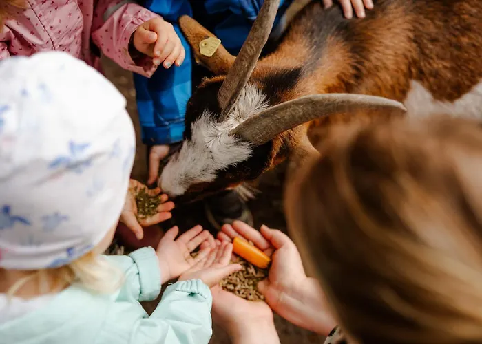 Am Hof 2 Casa vacanze Staberdorf
