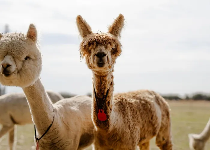 Casa vacanze Am Hof 2 Staberdorf