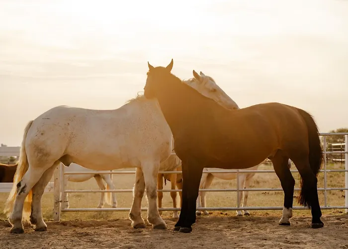 Am Hof 2 Casa vacanze Staberdorf