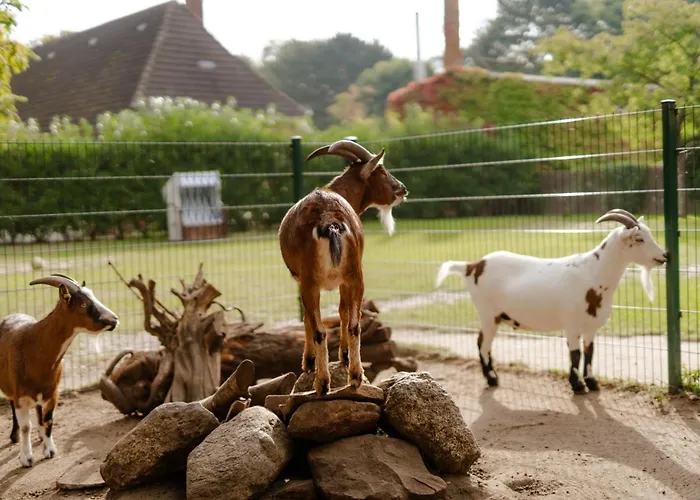 Am Hof 2 * Staberdorf