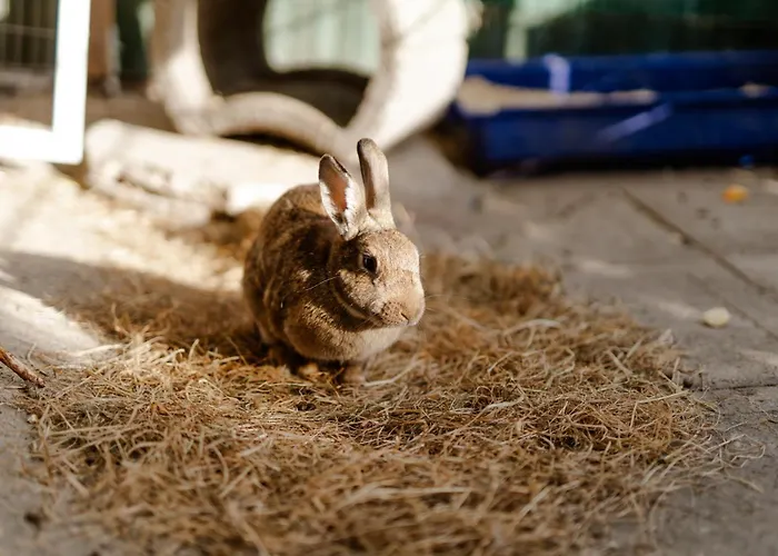 Am Hof 2 Casa vacanze