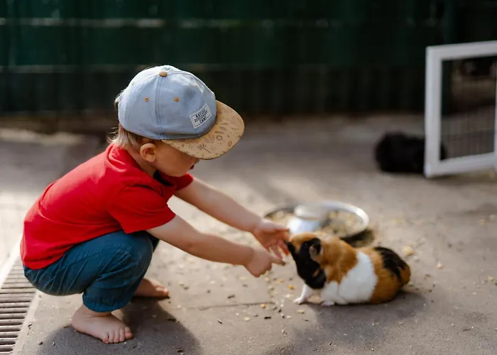 Casa vacanze Am Hof 2