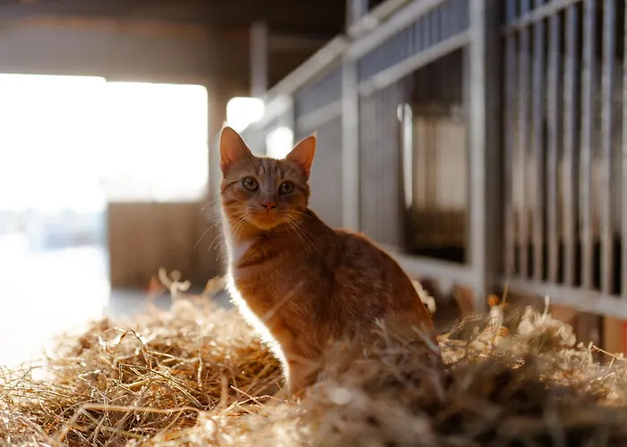 Am Hof 2 * Staberdorf